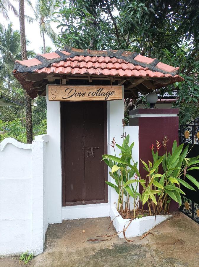 Dove Cottage Cherai Beach Zewnętrze zdjęcie
